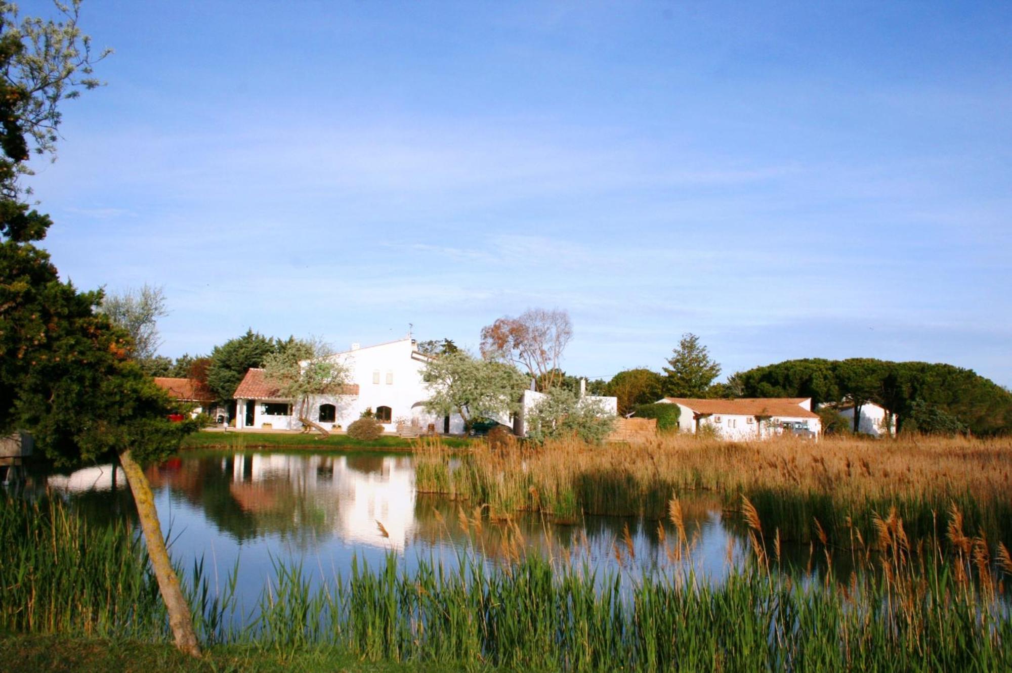 Les Rizieres Hotel Saintes-Maries-de-la-Mer Bagian luar foto