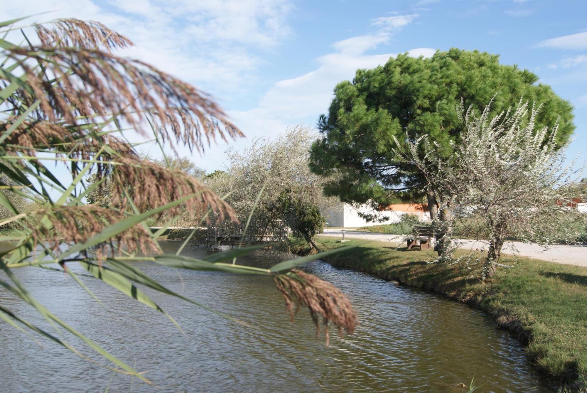 Les Rizieres Hotel Saintes-Maries-de-la-Mer Bagian luar foto