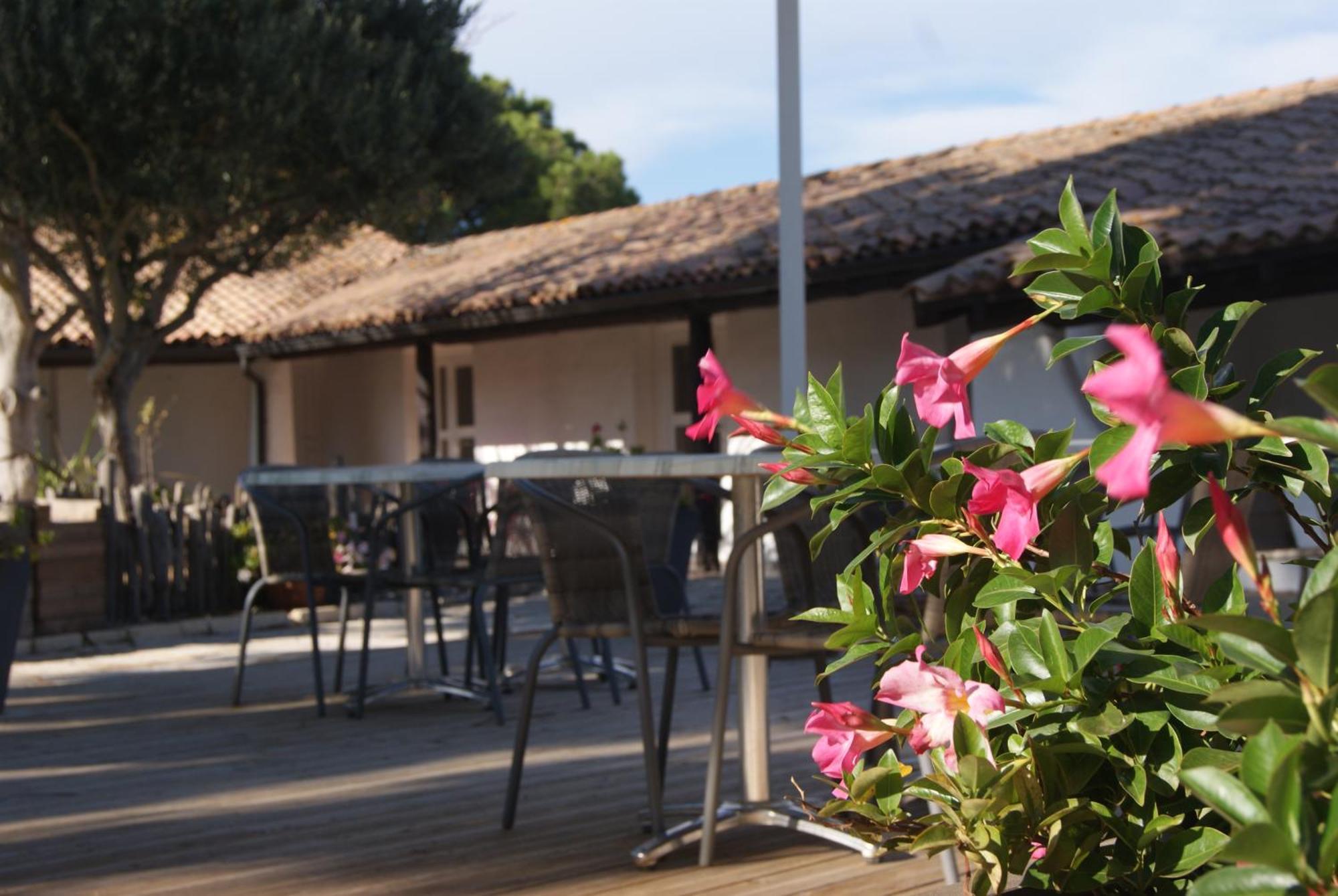 Les Rizieres Hotel Saintes-Maries-de-la-Mer Bagian luar foto
